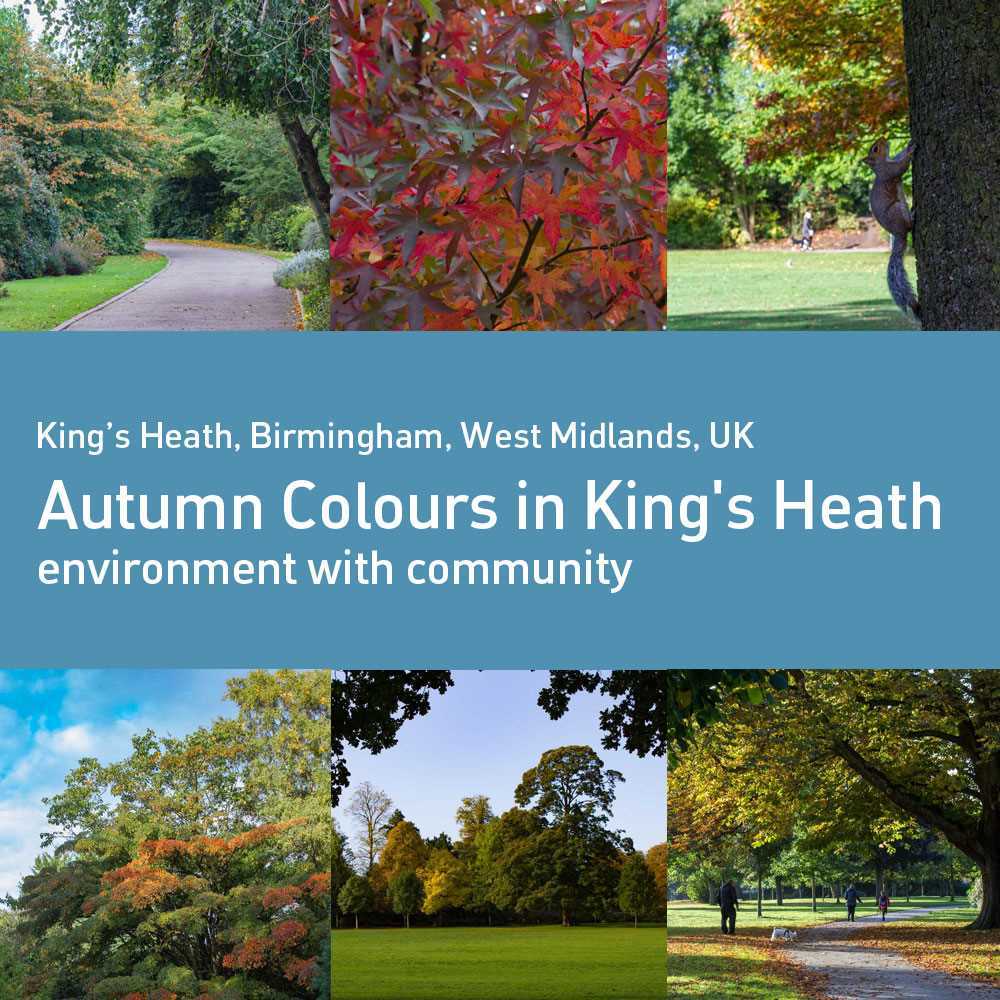 The lovely Autumn colours in King's Heath!